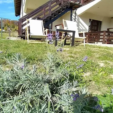 Draskovic - Διαμέρισμα