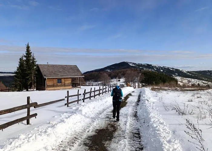 Draskovic - Apartament Goc